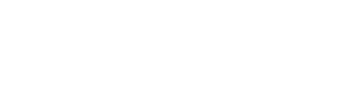 litespeed-logo(1)