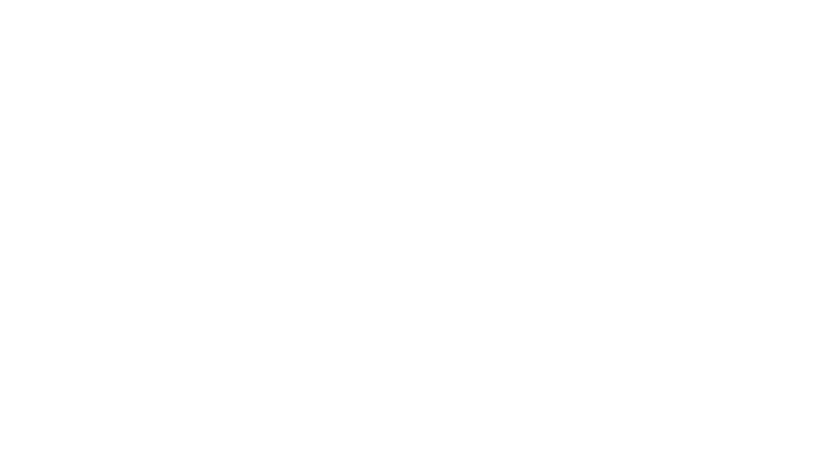 superpsswa-logo